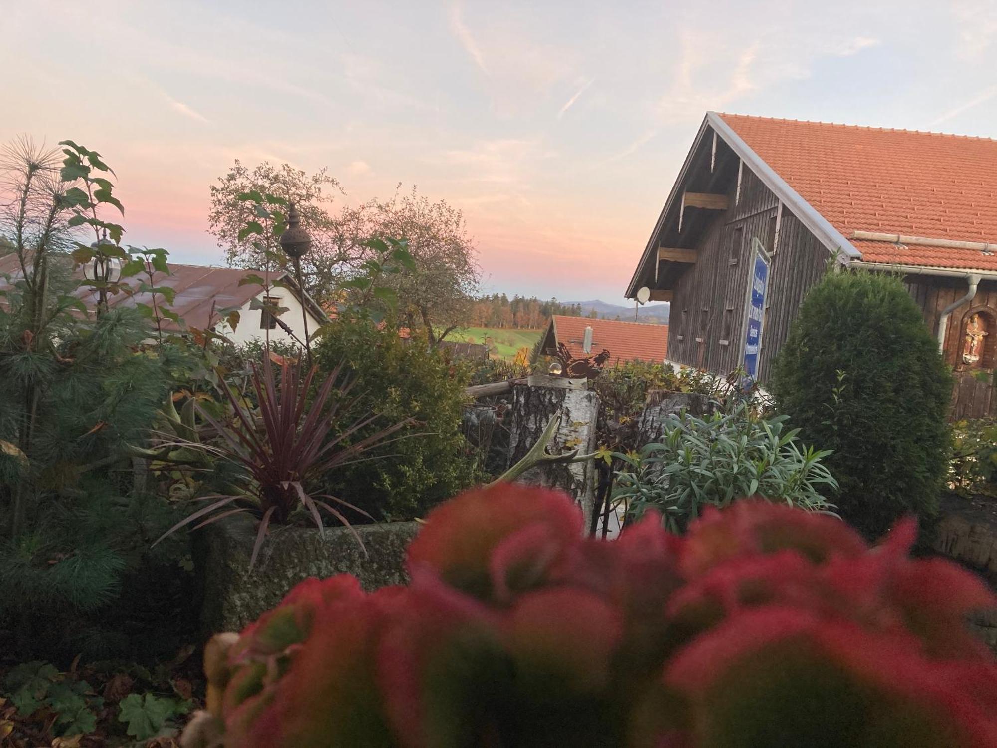 Zur Neuen Post Landgasthof Herzogsreut Exterior photo